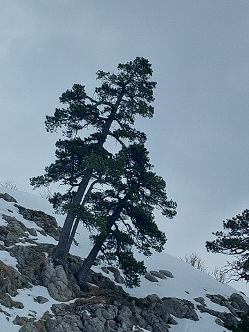 En attendant la suite.....