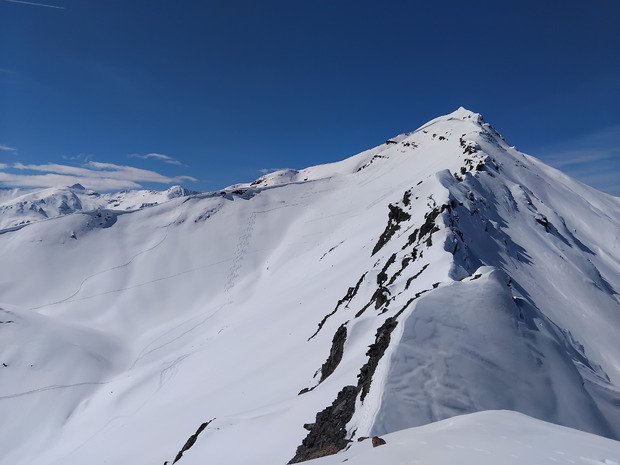T&ecirc;te des raisins par canicule