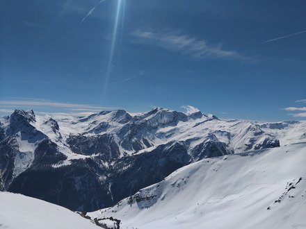 T&ecirc;te des raisins par canicule