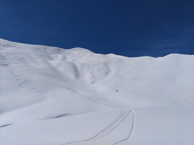 T&ecirc;te des raisins par canicule