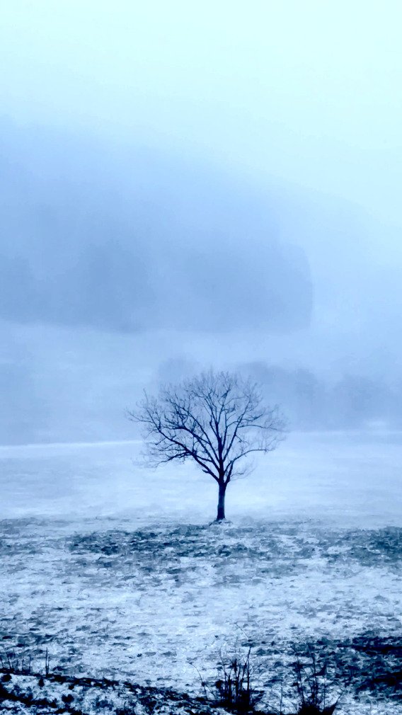 C&rsquo;est parti pour la temp&ecirc;te, neige et vent