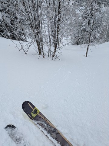 Apocalypse Snow 
