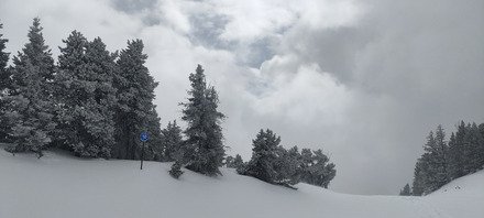 Pour les braves... mais &ccedil;a valait vraiment le coup ! 