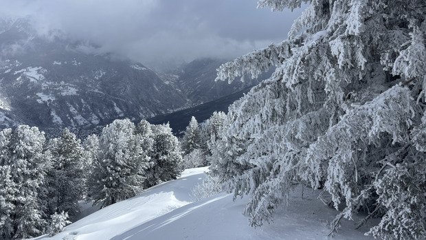 Du vent et de la neige 