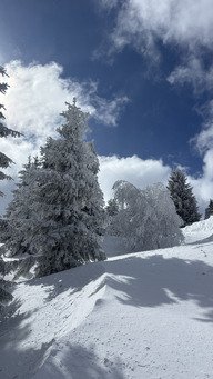 Du vent et de la neige 