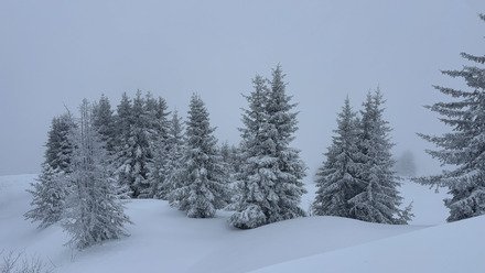 Du vent et de la neige 