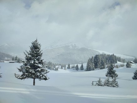 Changement de plan payant