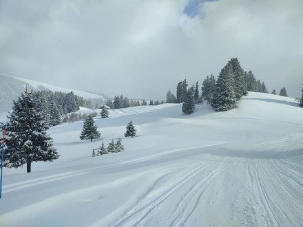 Changement de plan payant