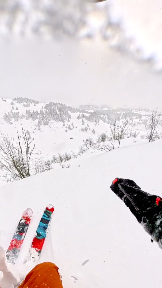 Changement de plan payant