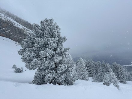 Super journ&eacute;e, des conditions d'enneigement qui font regretter la fermeture annonc&eacute;e de la station le 29 mars