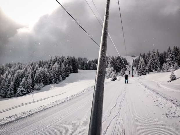 retour de l'hiver et gavage en r&egrave;gle 