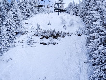 retour de l'hiver et gavage en r&egrave;gle 