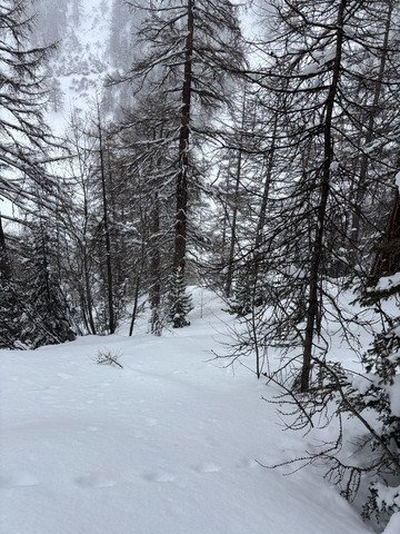  Meilleure sortie de la saison !!