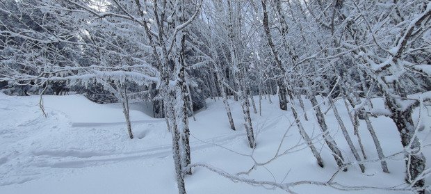 "&Ccedil;a va se d&eacute;gager, je le sens !" Une vraie journ&eacute;e d'hiver, top! 