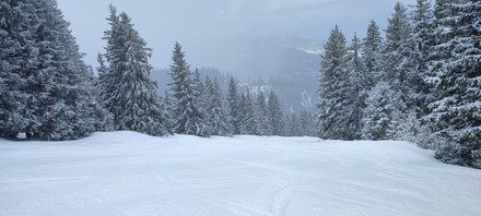 "&Ccedil;a va se d&eacute;gager, je le sens !" Une vraie journ&eacute;e d'hiver, top! 