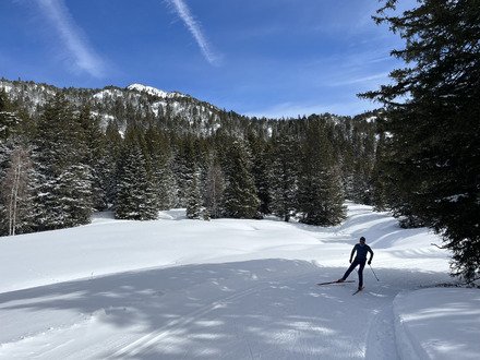 Des conditions de r&ecirc;ve 