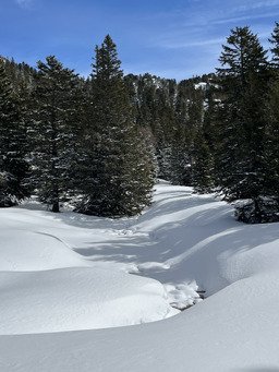 Des conditions de r&ecirc;ve 