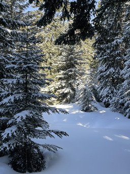 Des conditions de r&ecirc;ve 