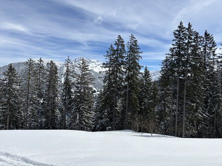 #46, chroniques marsiennes