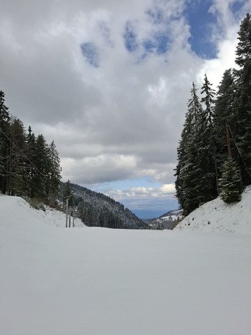Petite rando raquettes sous la neige