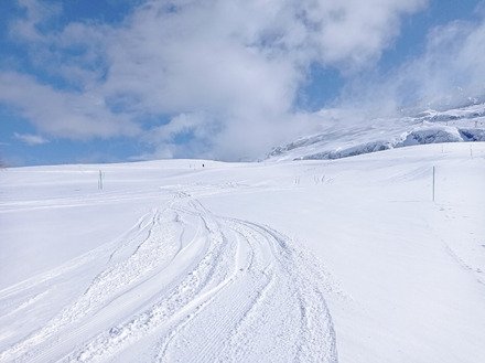 Bien froid et bien bon