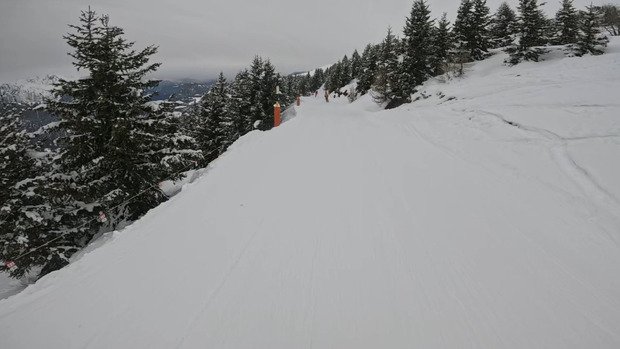 Belle matin&eacute;e au soleil !