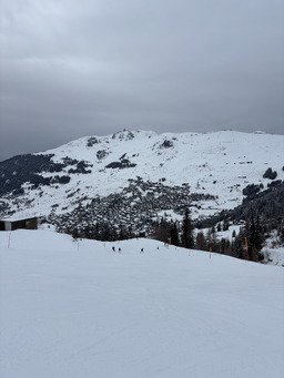 Belle matin&eacute;e au soleil !