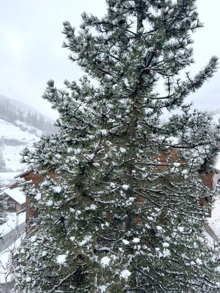 Saupoudrage en cours