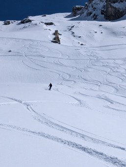 1er Avril de r&ecirc;ve ! 