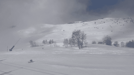 Entre soleil et pur&eacute;e de pois 🥴