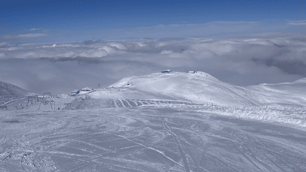 Entre soleil et pur&eacute;e de pois 🥴