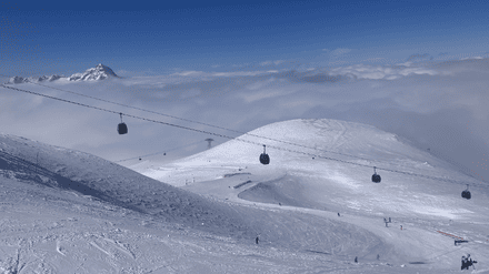 Entre soleil et pur&eacute;e de pois 🥴