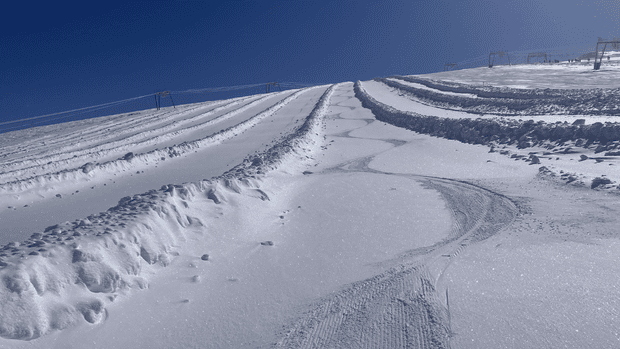 Entre soleil et pur&eacute;e de pois 🥴