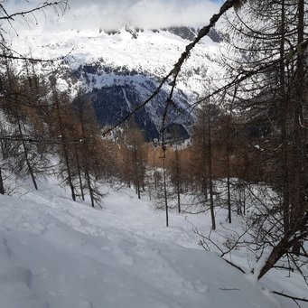 Des potes, de la bonne neige, la vie quoi!