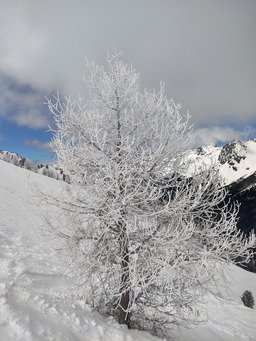 Il est o&ugrave; le soleil, il est o&ugrave;....? Le grand blanc !