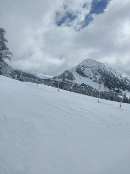 Tout est en panne!!!