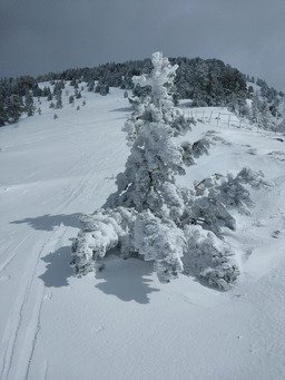 Tout est en panne!!!