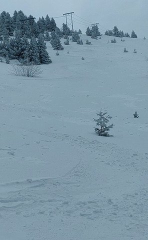 Tout est en panne!!!