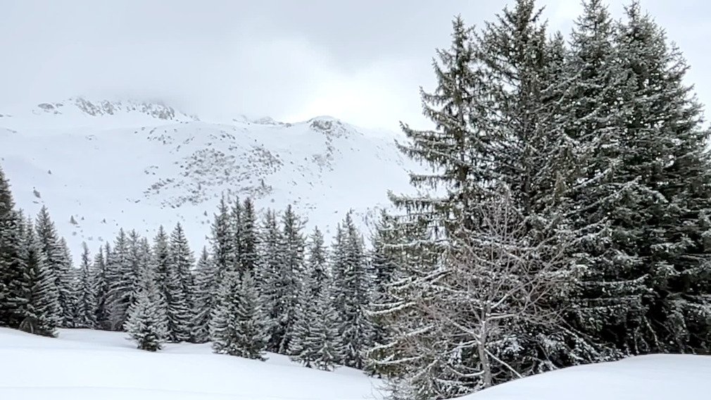 Neige et brouillard