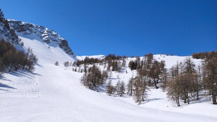 Printemps parfait - encore! 