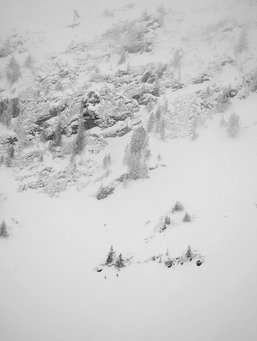 L'hiver ne fait que commencer !