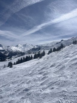 Des tests a gogo, une neige de folie. 