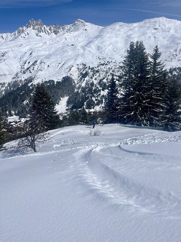 Des tests a gogo, une neige de folie. 