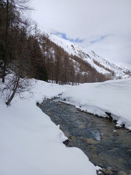 Colonie de vacance, au pied des aiguilles d'Arves