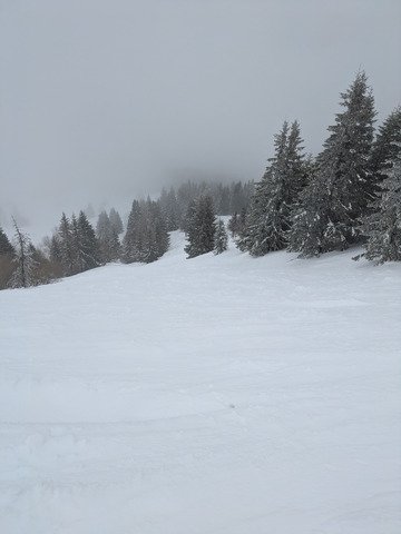 ballade en for&ecirc;t 