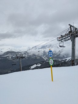 ballade en for&ecirc;t 