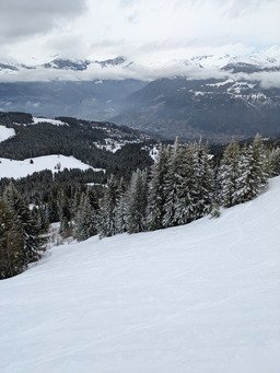 ballade en for&ecirc;t 