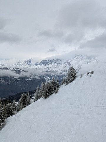 ballade en for&ecirc;t 