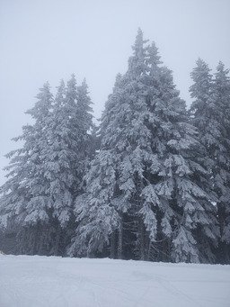 Neige d'hiver au printemps et un d&eacute;sert bien agr&eacute;able 