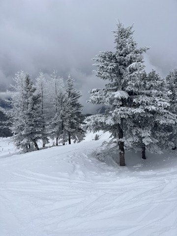 Quand on aime, on ne voit pas.